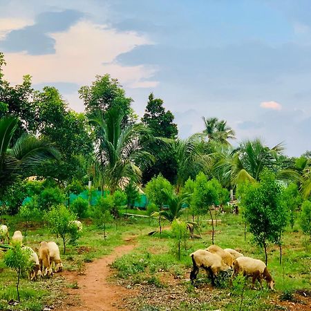 Eco Farm Villa Bengaluru Kültér fotó