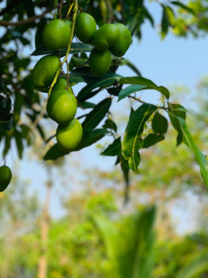 Eco Farm Villa Bengaluru Kültér fotó