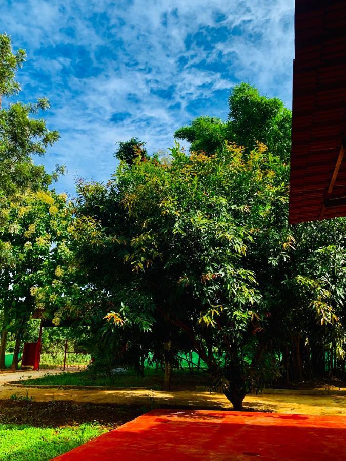 Eco Farm Villa Bengaluru Kültér fotó
