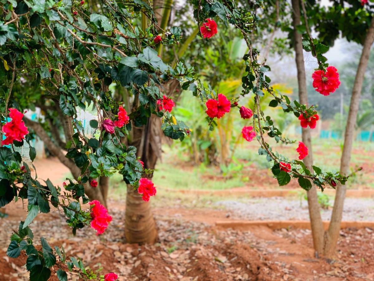 Eco Farm Villa Bengaluru Kültér fotó
