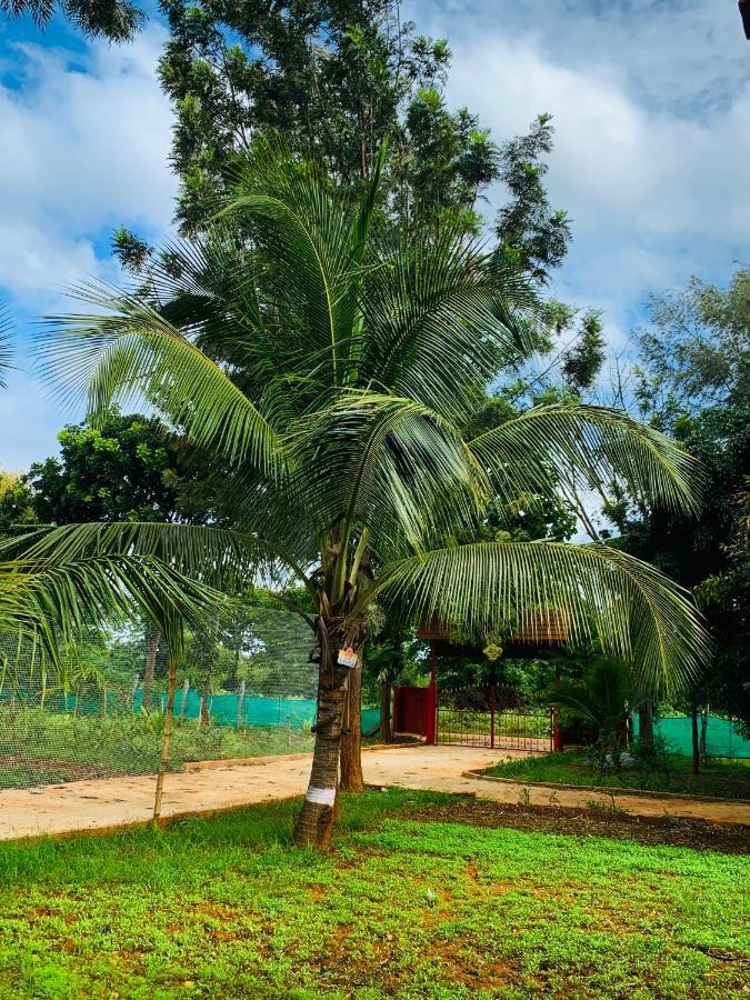 Eco Farm Villa Bengaluru Kültér fotó