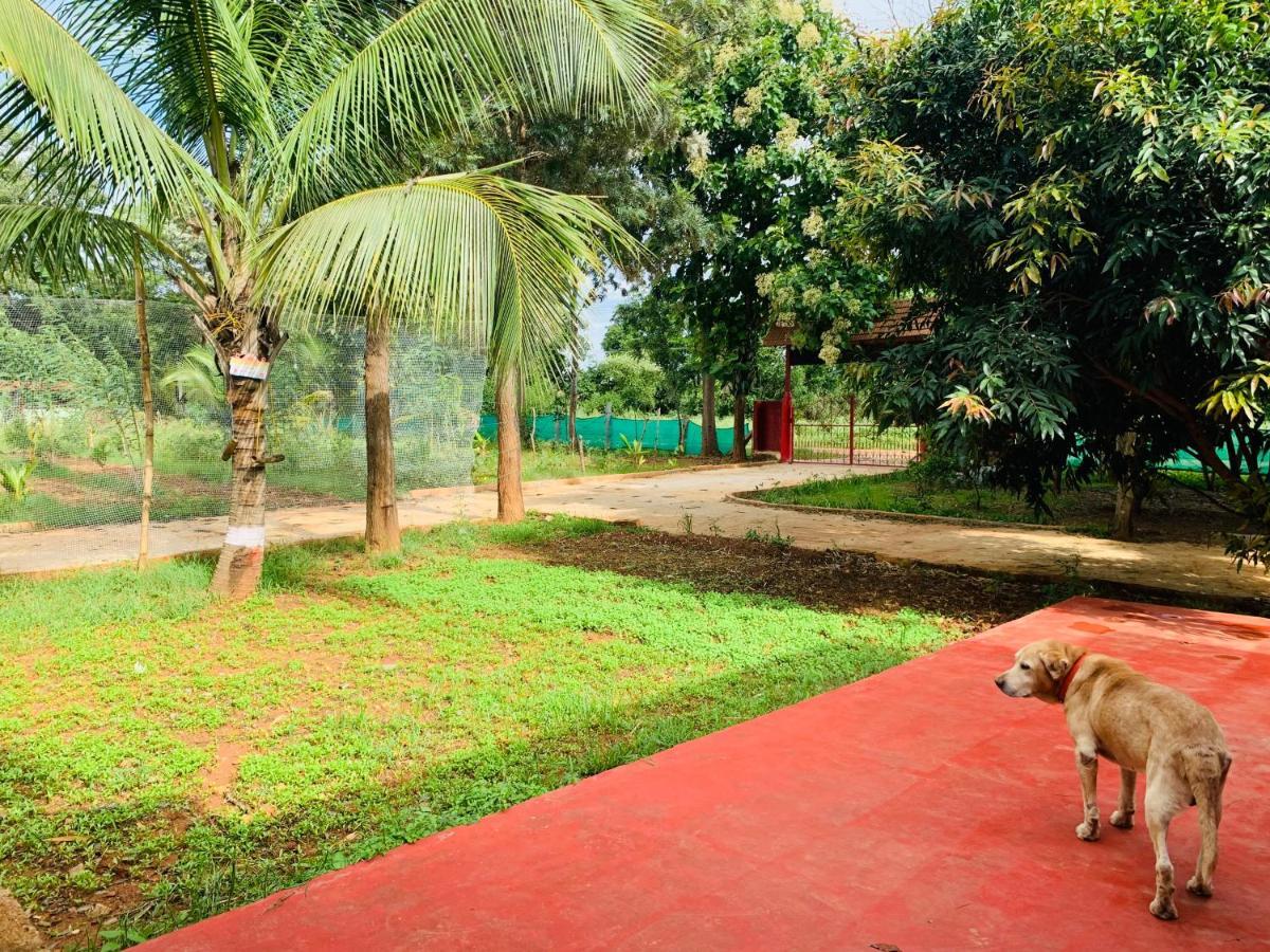 Eco Farm Villa Bengaluru Kültér fotó