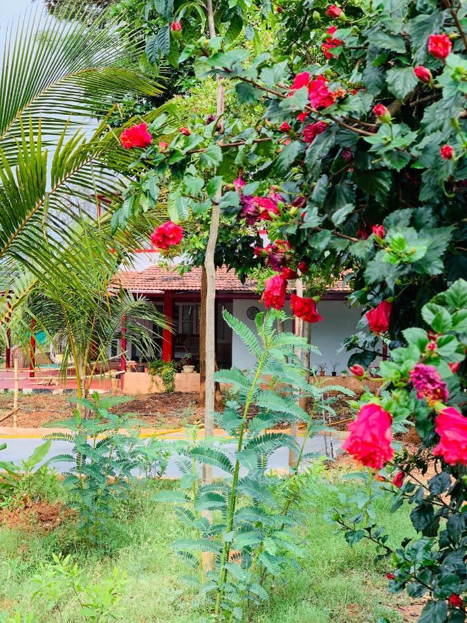 Eco Farm Villa Bengaluru Kültér fotó