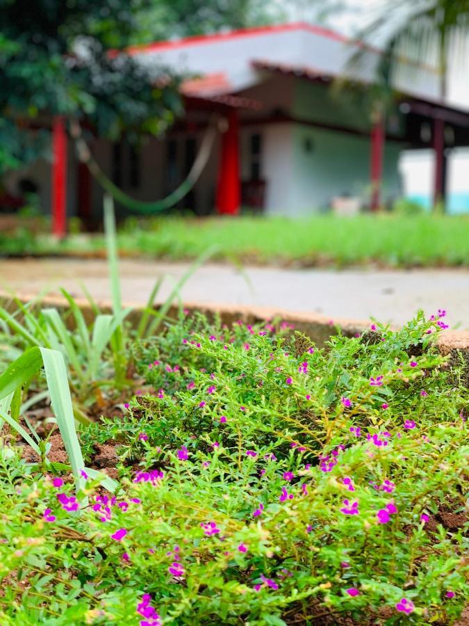 Eco Farm Villa Bengaluru Kültér fotó